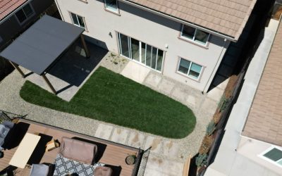How to Refresh a Yard That Looks Tired by the End of Summer