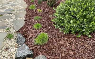 How to Avoid a Yard That Looks Pieced Together