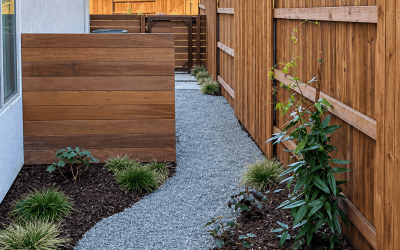 What to Know Before Replacing Your Lawn in Sacramento