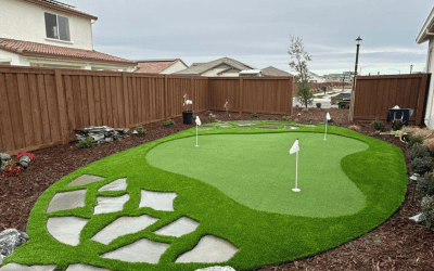 How to Fix Drainage Problems in Your Sacramento Yard